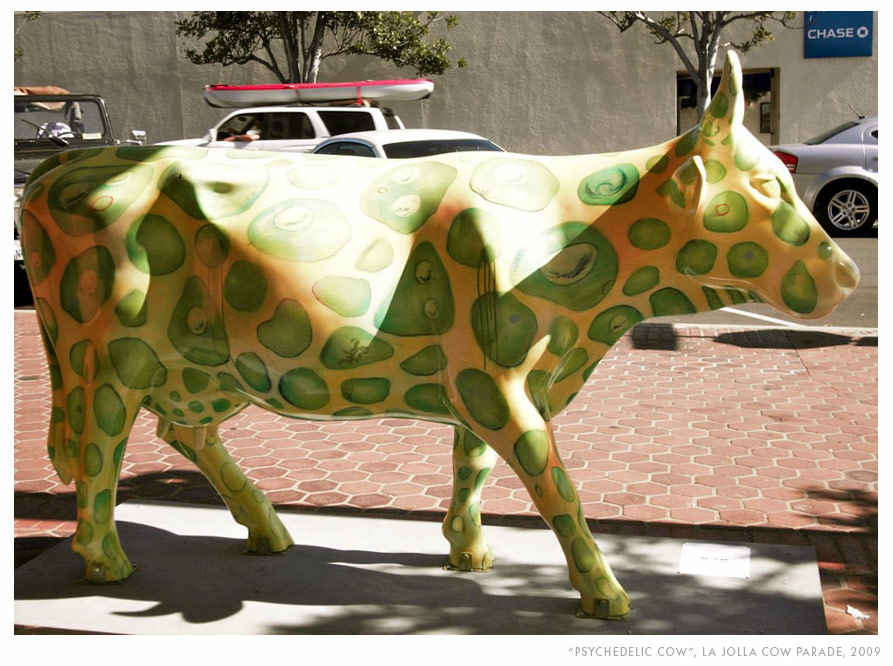 Psychedelic Cow
