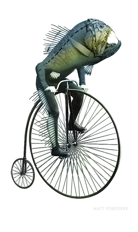 Fish Bike  01