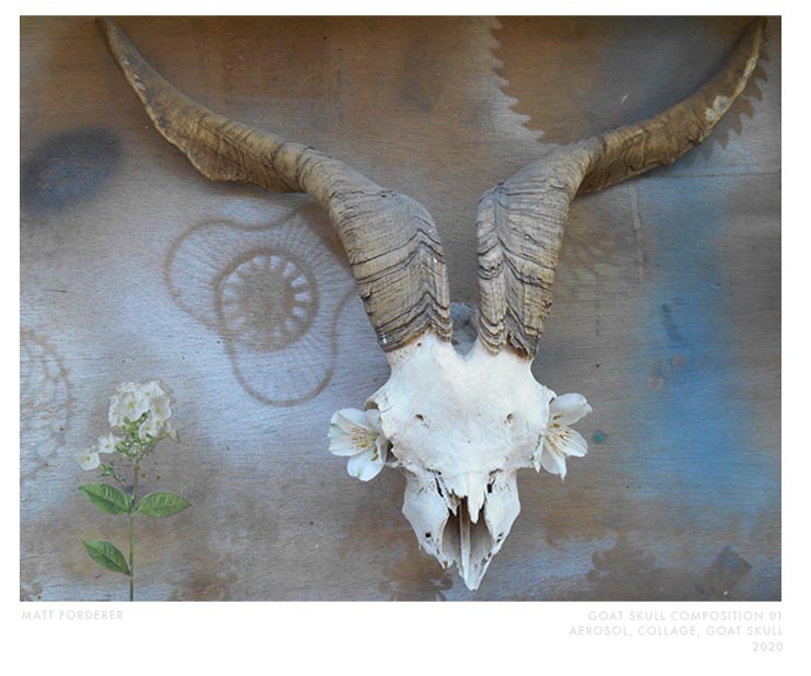 Goat Skull Composition