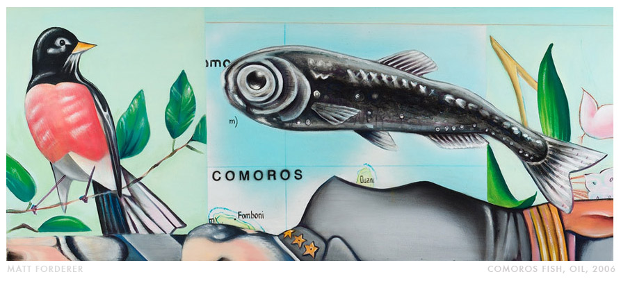 Comoros Fish