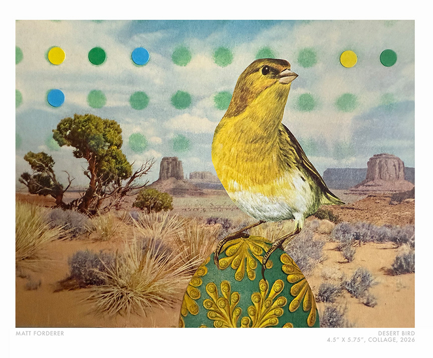 Desert BIrd